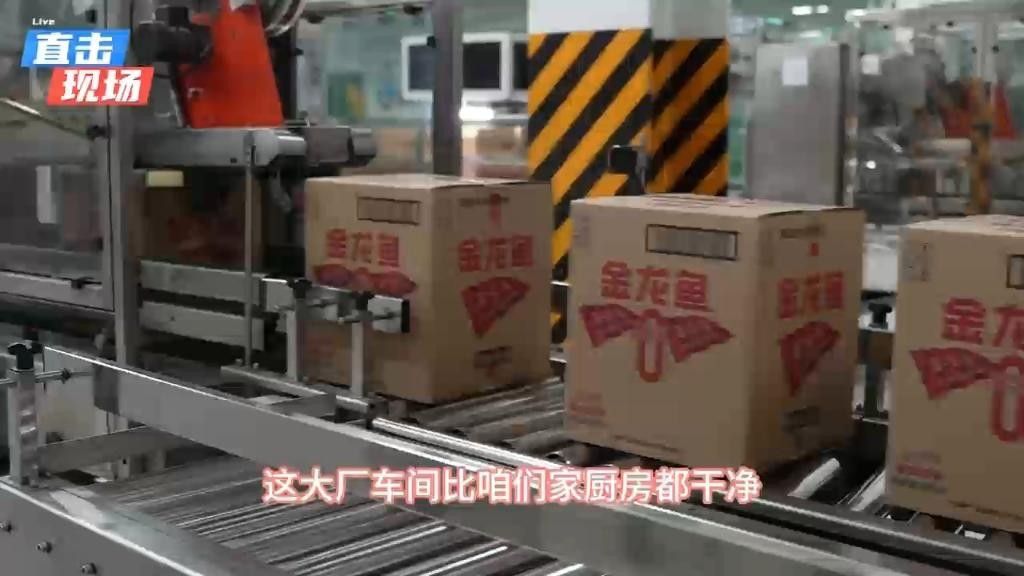 鲅魚圈金龍魚累不累（金龍魚在鲅魚圈的工作強度如何？）