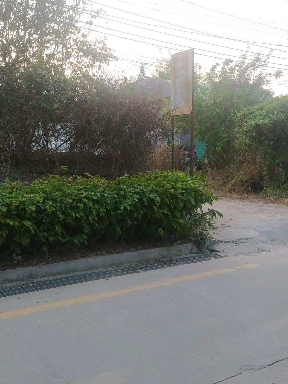 廣州金龍魚市場的交通情況（關于廣州金龍魚市場的交通情況分析）