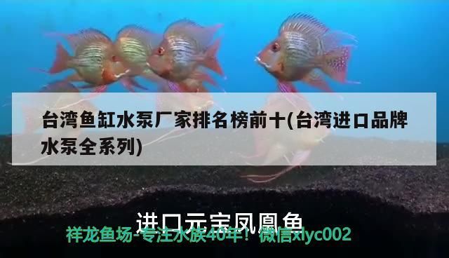 臺灣魚缸水泵廠家排名榜前十(臺灣進口品牌水泵全系列)（臺灣魚缸水泵廠家排名前十名魚缸水泵廠家排名前十） 臺灣魚缸水泵廠家排名榜前十(臺灣進口品牌水泵全系列)（臺灣魚缸水泵廠家排名前十名魚缸水泵廠家排名前十） 觀賞魚百科