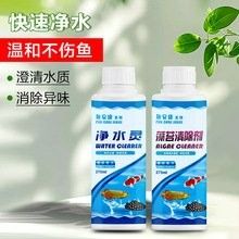 白子過背金龍的市場價格是多少（白子過背金龍魚價格多少錢）
