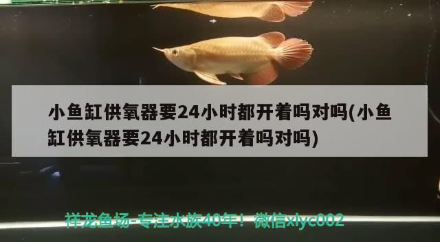 小魚缸供氧器要24小時都開著嗎對嗎(小魚缸供氧器要24小時都開著嗎對嗎)