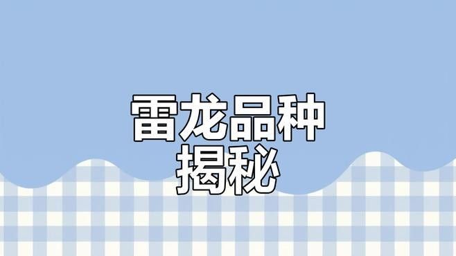 雷龍魚中哪個(gè)品種最兇