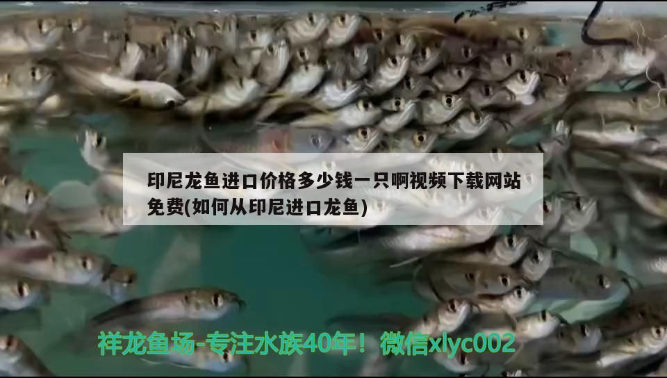 如何聯(lián)系金龍魚長(zhǎng)沙分公司客服