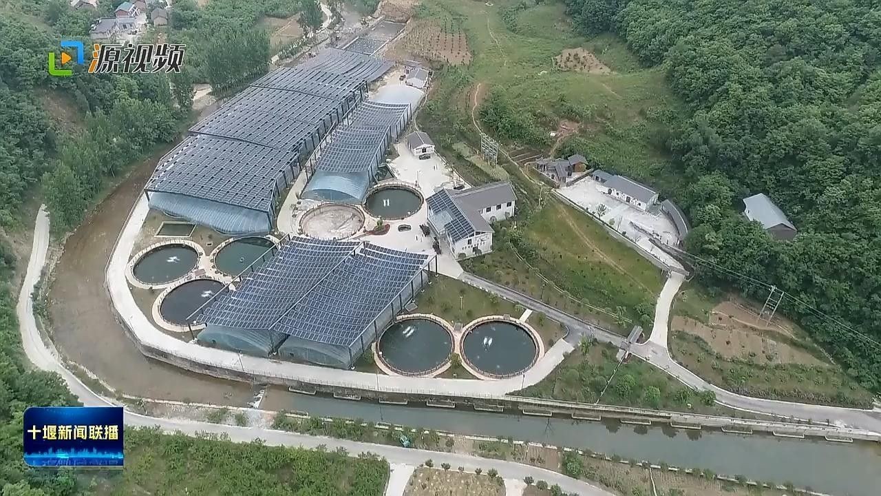東莞市設施漁業補助政策有哪些？ 東莞市設施漁業補助政策有哪些？ 龍魚百科 第3張