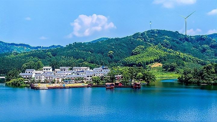 東莞市設施漁業補助政策有哪些？ 東莞市設施漁業補助政策有哪些？ 龍魚百科 第6張