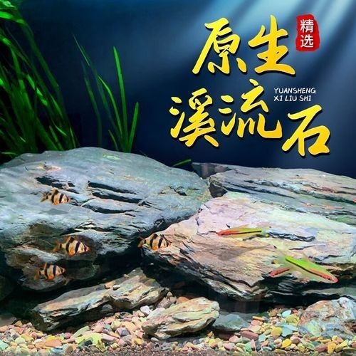 隔離缸裝飾石有哪些推薦品牌