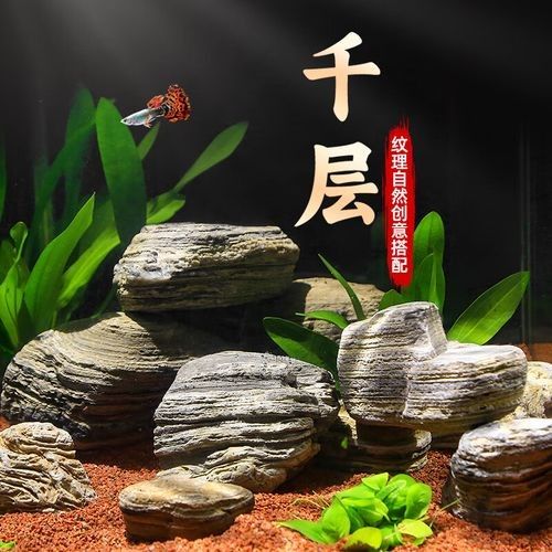 隔離缸裝飾石有哪些推薦品牌