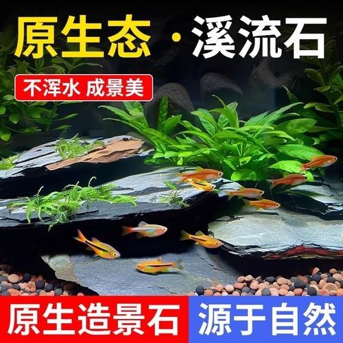 隔離缸裝飾石有哪些推薦品牌