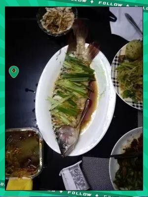 大紅龍魚有哪些營養(yǎng)價值