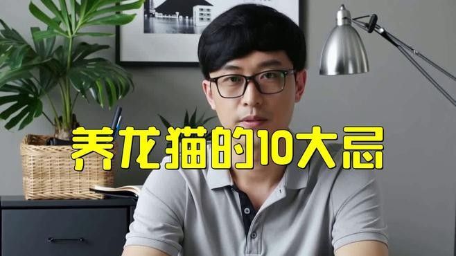 哪種貓最適合與龍貓共養？（哪種貓最適合與龍貓共養）