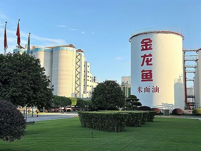 金龍魚廚房食品業務的具體表現（金龍魚廚房食品業務在2023財年取得了顯著的成績）