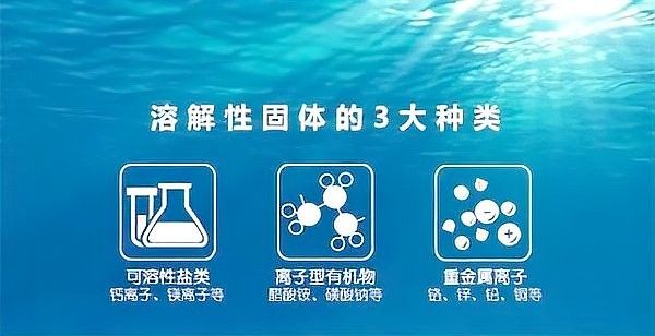 如何正確使用TDS檢測筆 如何正確使用TDS檢測筆 龍魚百科 第6張