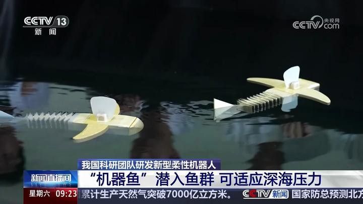 金龍魚仿生機器人有哪些型號（金龍魚仿生機器人型號）