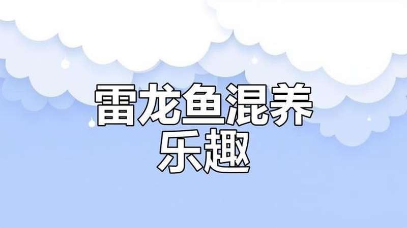 給我推薦一些高質量的雷龍魚視頻（雷龍魚混養視頻推薦）