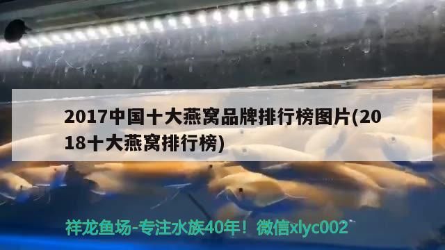 2017中國十大燕窩品牌排行榜圖片(2018十大燕窩排行榜) 2017中國十大燕窩品牌排行榜圖片(2018十大燕窩排行榜) 觀賞魚百科