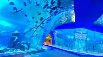 懷化水族館：懷化旅游攻略