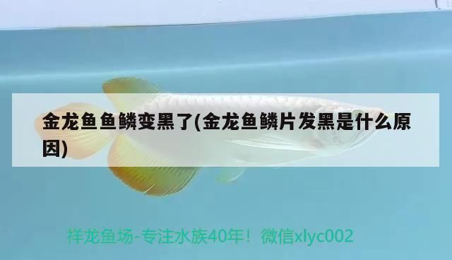 懷化水族館：懷化旅游攻略