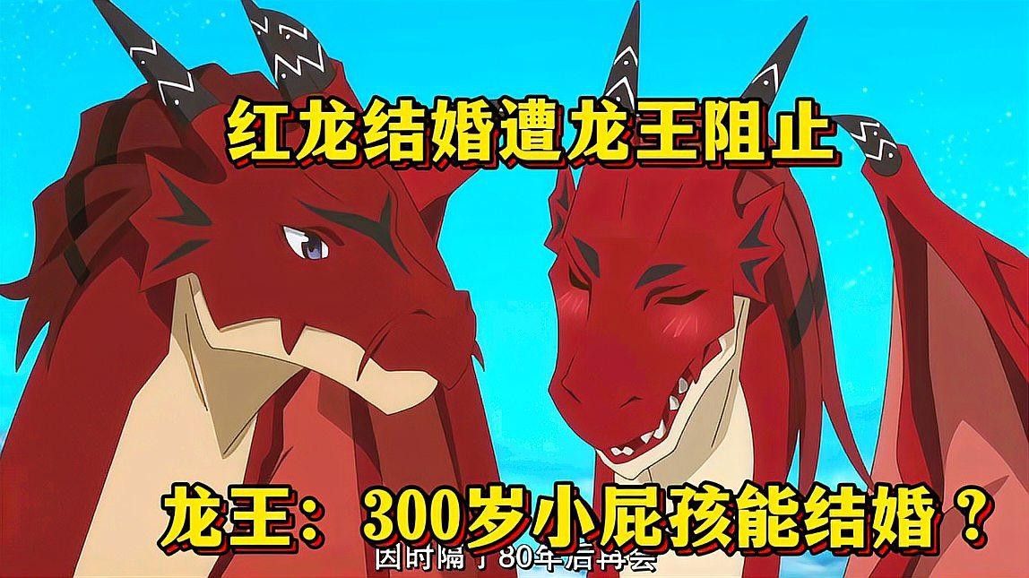 紅龍與其他龍族有沒有合作過？（《龍族》系列中紅龍與其他龍族有何合作？） 紅龍與其他龍族有沒有合作過？（《龍族》系列中紅龍與其他龍族有何合作？） 龍魚百科 第1張