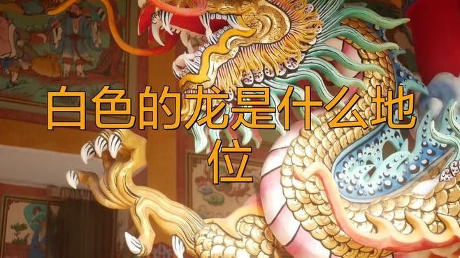 紅龍與白龍在文化中如何體現