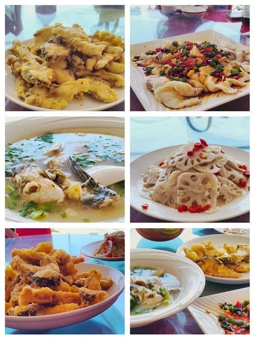 平頂山哪家魚(yú)好吃（平頂山哪家魚(yú)好吃平頂山哪家魚(yú)好吃魚(yú)餐館推薦） 平頂山哪家魚(yú)好吃（平頂山哪家魚(yú)好吃平頂山哪家魚(yú)好吃魚(yú)餐館推薦） 觀賞魚(yú)百科 第2張