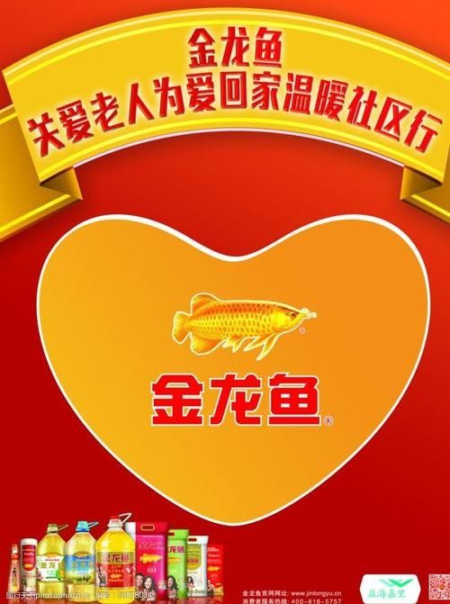 有沒有金龍魚科技海報設計模板? 龍魚百科 第12張 有沒有金龍魚科技海報設計模板? 有沒有金龍魚科技海報設計模板? 龍魚百科 第12張