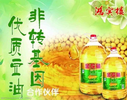有沒有金龍魚科技海報設計模板? 龍魚百科 第15張 有沒有金龍魚科技海報設計模板? 有沒有金龍魚科技海報設計模板? 龍魚百科 第15張