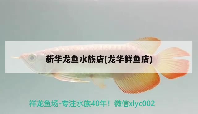 魚缸用增氧泵價格是多少:魚缸增氧機-xtrac增氧機-xtrac增氧機 新華龍魚水族店(龍華鮮魚店) 觀賞魚百科 新華龍魚水族店(龍華鮮魚店) 新華龍魚水族店(龍華鮮魚店) 觀賞魚百科