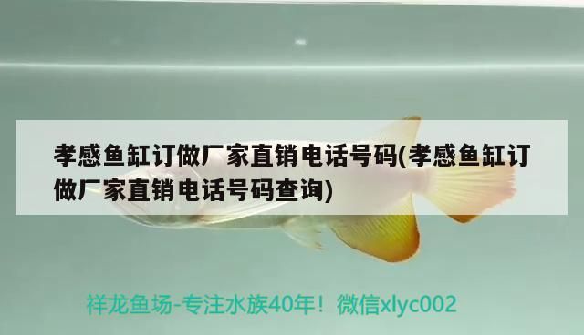 孝感魚缸訂做廠家直銷電話號碼(孝感魚缸訂做廠家直銷電話號碼查詢) 孝感魚缸訂做廠家直銷電話號碼(孝感魚缸訂做廠家直銷電話號碼查詢) 觀賞魚百科