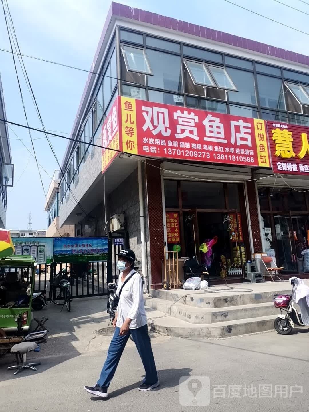 萬家金龍觀賞魚店是否搬遷？（萬家金龍觀賞魚店是否會搬遷） 萬家金龍觀賞魚店是否搬遷？（萬家金龍觀賞魚店是否會搬遷） 龍魚百科 第1張