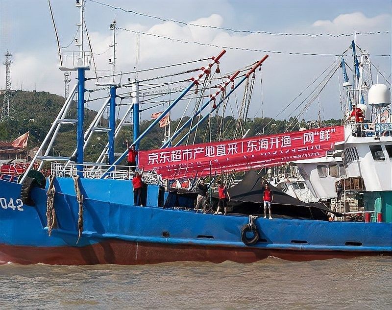 這些魚類的市場價格如何？ 這些魚類的市場價格如何？ 龍魚百科 第8張