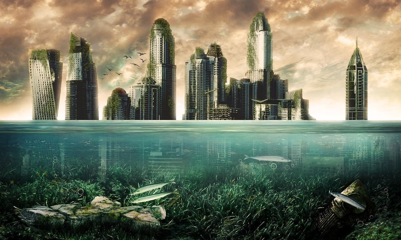 熱帶魚的壽命是多少天，熱帶魚的壽命是多少