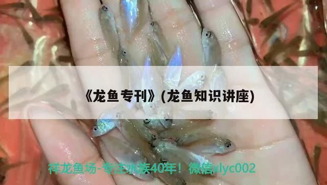《龍魚專刊》(龍魚知識(shí)講座)