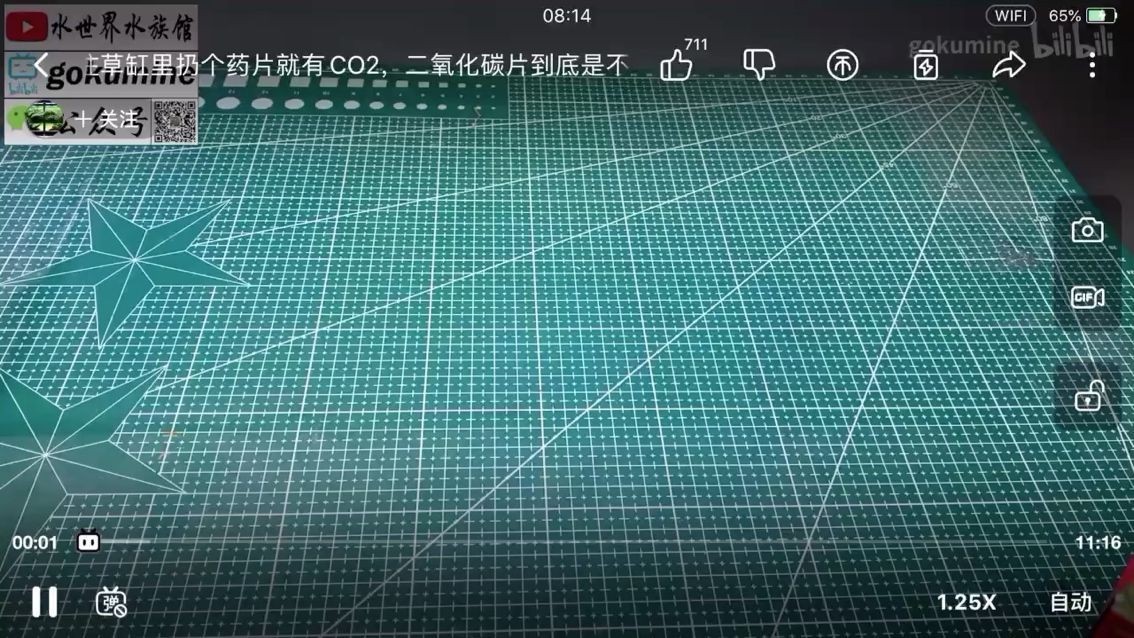 二氧化碳坑 觀賞魚百科 第2張 二氧化碳坑 二氧化碳坑 觀賞魚百科 第2張