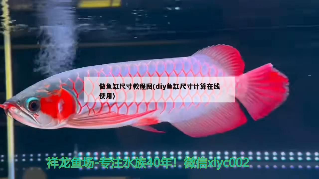 做魚缸尺寸教程圖(diy魚缸尺寸計算在線使用)