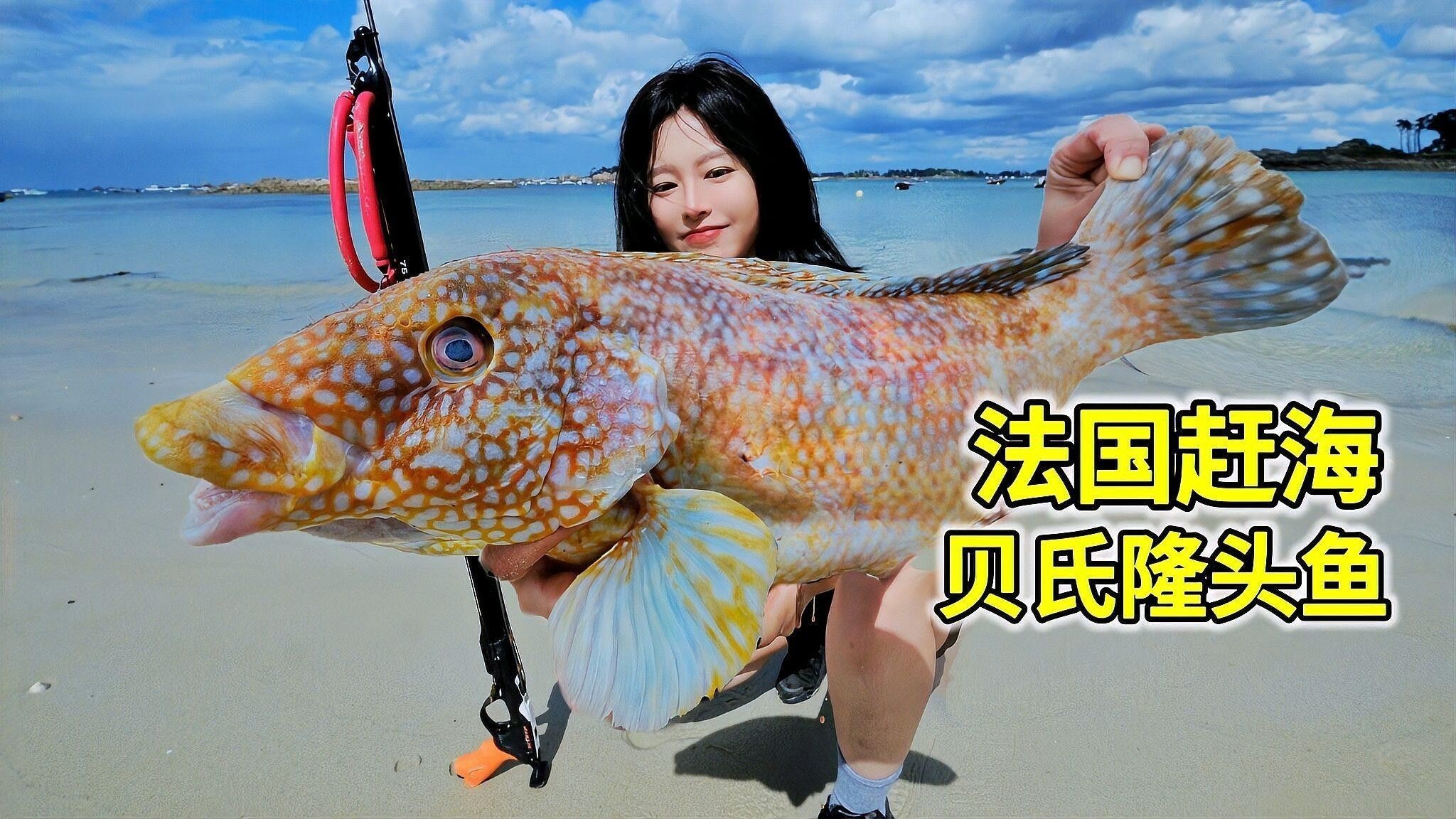 斑點長手魚有哪些防御機制？
