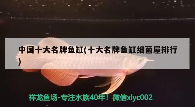 中國十大名牌魚缸(十大名牌魚缸細菌屋排行) 中國十大名牌魚缸(十大名牌魚缸細菌屋排行) 觀賞魚百科