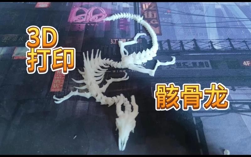 龍魚內部結構詳細圖 龍魚百科 第31張 龍魚內部結構詳細圖 龍魚內部結構詳細圖 龍魚百科 第31張