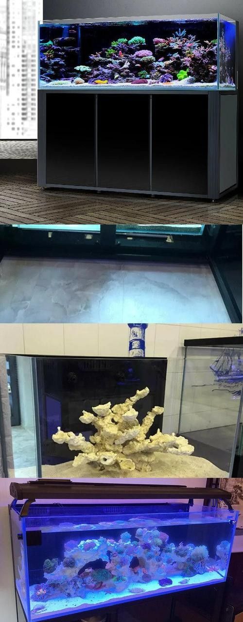 彩蝶龍魚缸的價格是多少(彩蝶龍魚缸價格因型號、尺寸、材質和功能等因素而異) 龍魚百科 第4張 彩蝶龍魚缸的價格是多少(彩蝶龍魚缸價格因型號、尺寸、材質和功能等因素而異) 彩蝶龍魚缸的價格是多少(彩蝶龍魚缸價格因型號、尺寸、材質和功能等因素而異) 龍魚百科 第4張