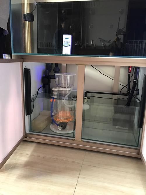 彩蝶龍魚缸的價格是多少(彩蝶龍魚缸價格因型號、尺寸、材質和功能等因素而異) 龍魚百科 第5張 彩蝶龍魚缸的價格是多少(彩蝶龍魚缸價格因型號、尺寸、材質和功能等因素而異) 彩蝶龍魚缸的價格是多少(彩蝶龍魚缸價格因型號、尺寸、材質和功能等因素而異) 龍魚百科 第5張