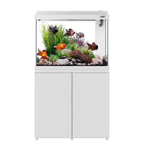 彩蝶龍魚缸的價格是多少(彩蝶龍魚缸價格因型號、尺寸、材質和功能等因素而異) 龍魚百科 第9張 彩蝶龍魚缸的價格是多少(彩蝶龍魚缸價格因型號、尺寸、材質和功能等因素而異) 彩蝶龍魚缸的價格是多少(彩蝶龍魚缸價格因型號、尺寸、材質和功能等因素而異) 龍魚百科 第9張