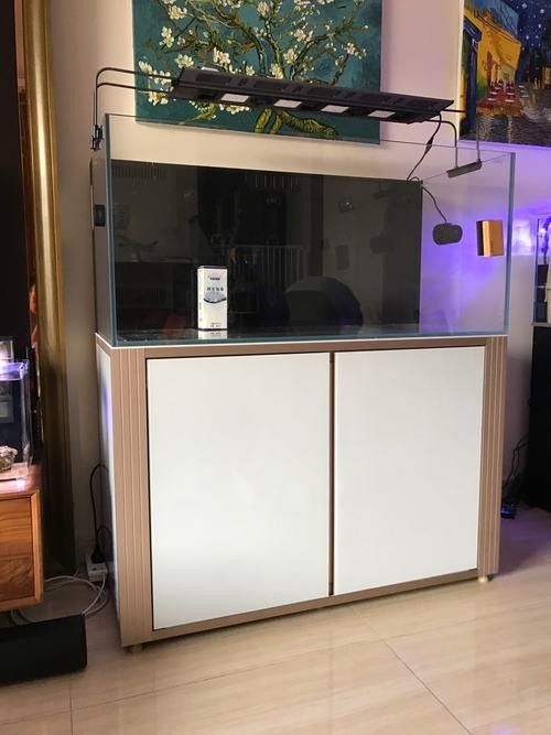 彩蝶龍魚缸的價格是多少(彩蝶龍魚缸價格因型號、尺寸、材質和功能等因素而異) 龍魚百科 第6張 彩蝶龍魚缸的價格是多少(彩蝶龍魚缸價格因型號、尺寸、材質和功能等因素而異) 彩蝶龍魚缸的價格是多少(彩蝶龍魚缸價格因型號、尺寸、材質和功能等因素而異) 龍魚百科 第6張
