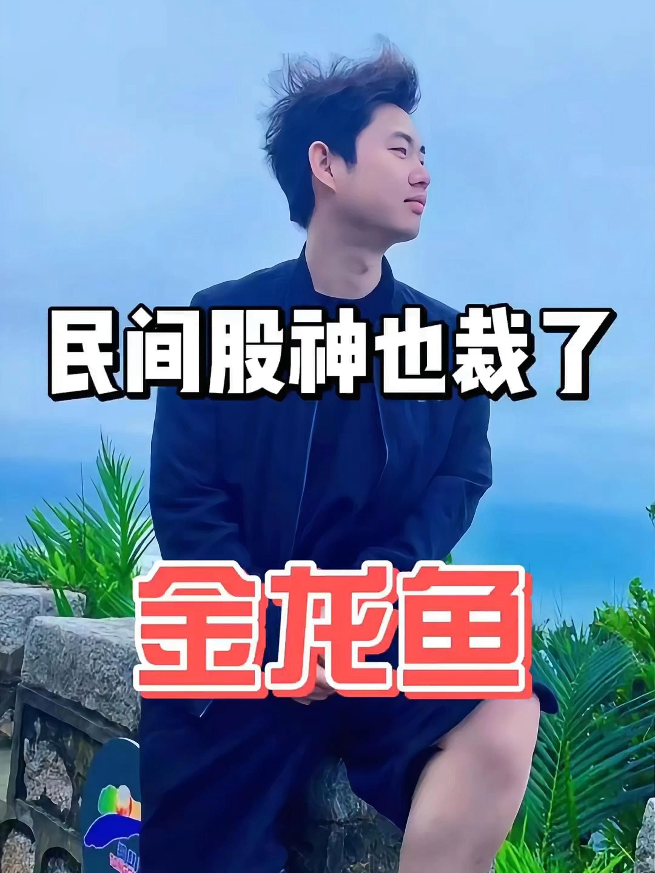 c金龍魚股票股吧