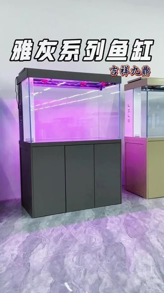 如何聯系天津龍魚批發市場的商家（天津龍魚批發市場的商家如何有效聯系到他們至關重要） 如何聯系天津龍魚批發市場的商家（天津龍魚批發市場的商家如何有效聯系到他們至關重要） 龍魚百科 第4張