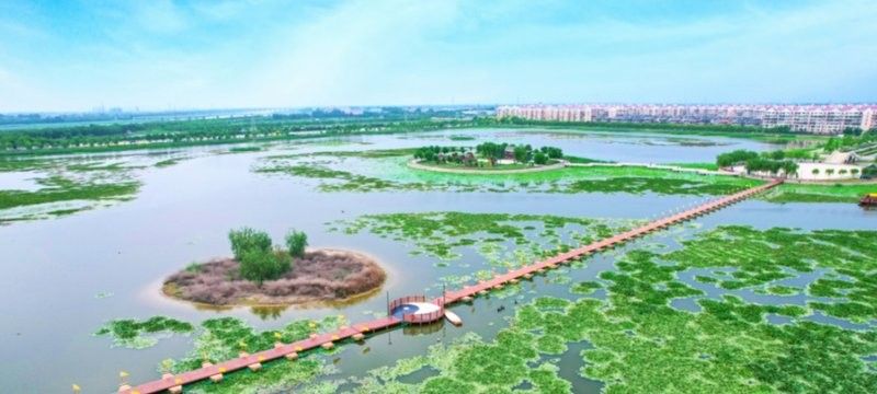 如何聯系天津龍魚批發市場的商家（天津龍魚批發市場的商家如何有效聯系到他們至關重要） 如何聯系天津龍魚批發市場的商家（天津龍魚批發市場的商家如何有效聯系到他們至關重要） 龍魚百科 第2張