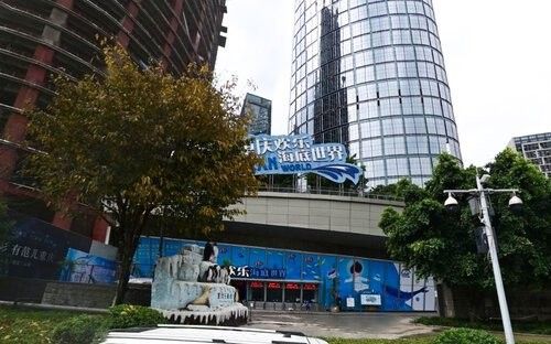 渝中哪個水族館龍魚好？祥龍魚場龍魚 渝中哪個水族館龍魚好？祥龍魚場龍魚 龍魚百科 第3張