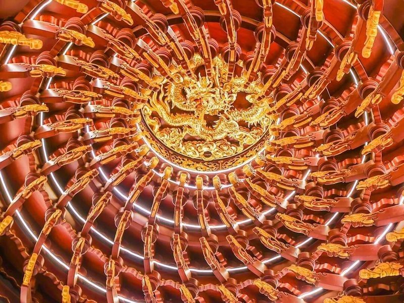 木雕金龍魚有哪些代表作品？（當代實力派專家級根雕藝術家楊敬柏作品展品展品讀詩書畫）