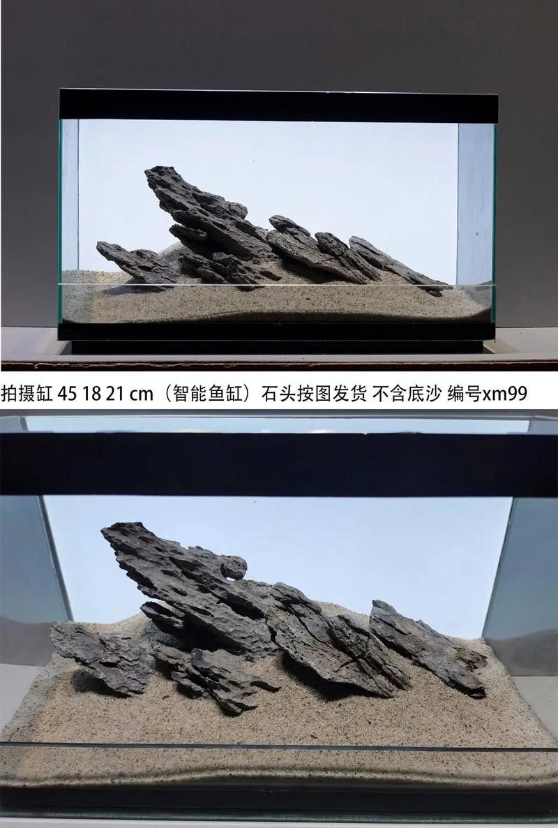 如何選擇適合龍魚造景的石頭（觀賞魚世界,水族造景石材概覽:多種選擇與注意事項）