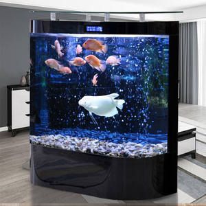 1.2米長40厘米寬魚缸養金龍魚（1.2米長40厘米寬的魚缸適合養什么魚？）