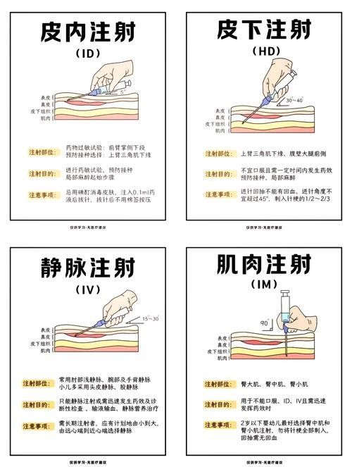 如何預防橙紅龍魚疾病?(養魚小藝紅龍魚水溫調節技巧:如何預防橙紅龍魚疾病)