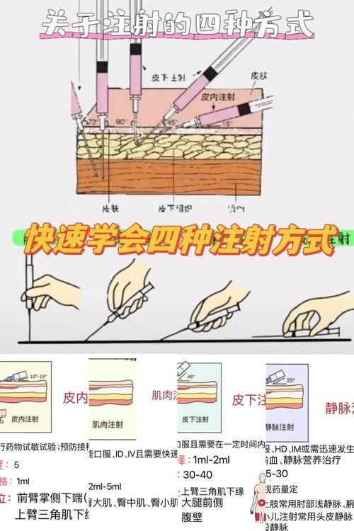 如何預防橙紅龍魚疾病?(養魚小藝紅龍魚水溫調節技巧:如何預防橙紅龍魚疾病)